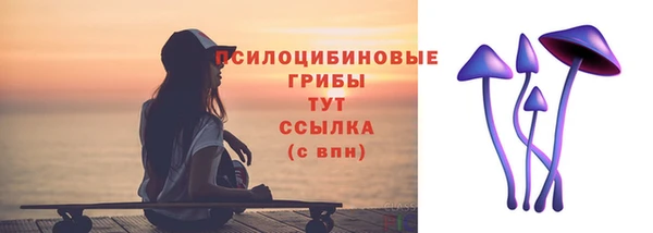 дживик Алексин