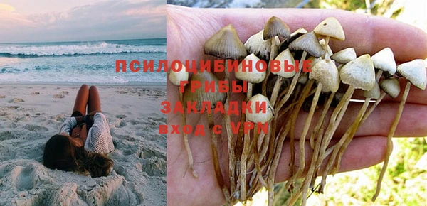 дурь Абинск