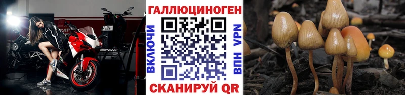Галлюциногенные грибы MAGIC MUSHROOMS  Гаджиево 